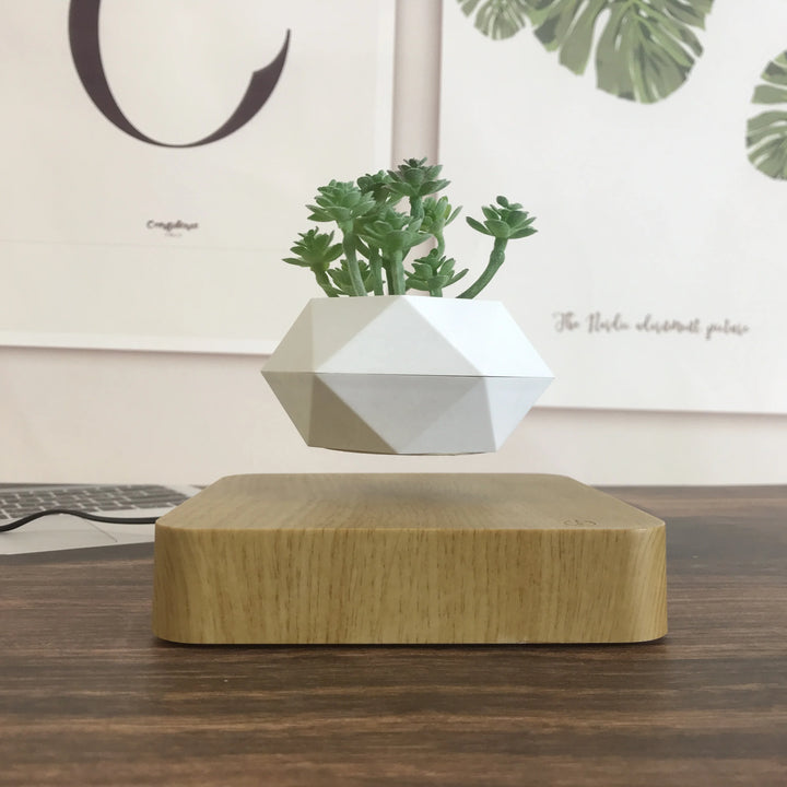 levitating mangetic floating plant pot bonsai img1