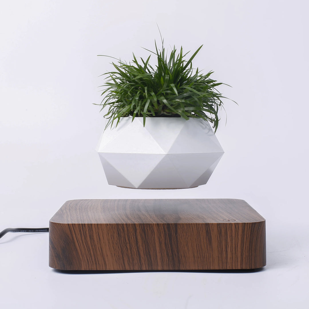 levitating mangetic floating plant pot bonsai img3