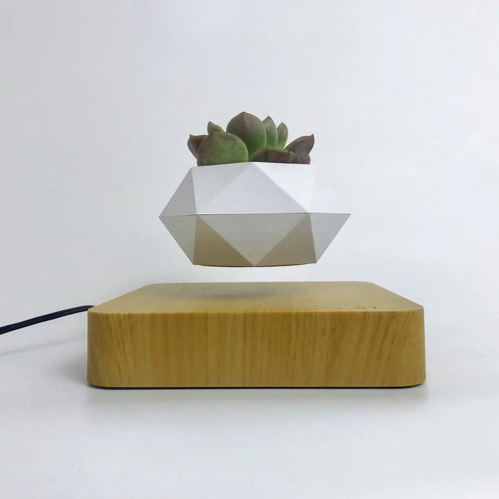 levitating mangetic floating plant pot bonsai img4
