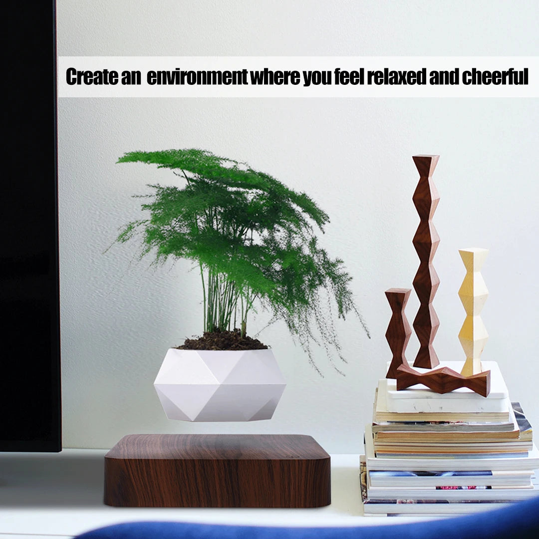 levitating mangetic floating plant pot bonsai relaxing environment