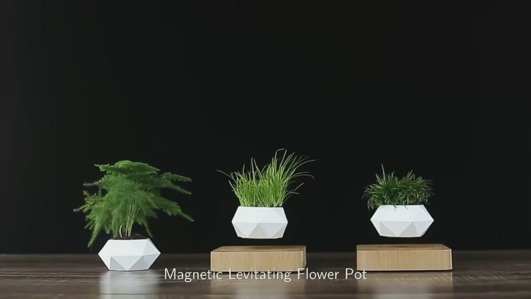 levitating-mangetic-floating-plant-pot-bonsai-demo